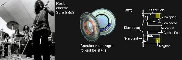 Dynamic microphone