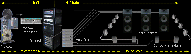 A and B Chain